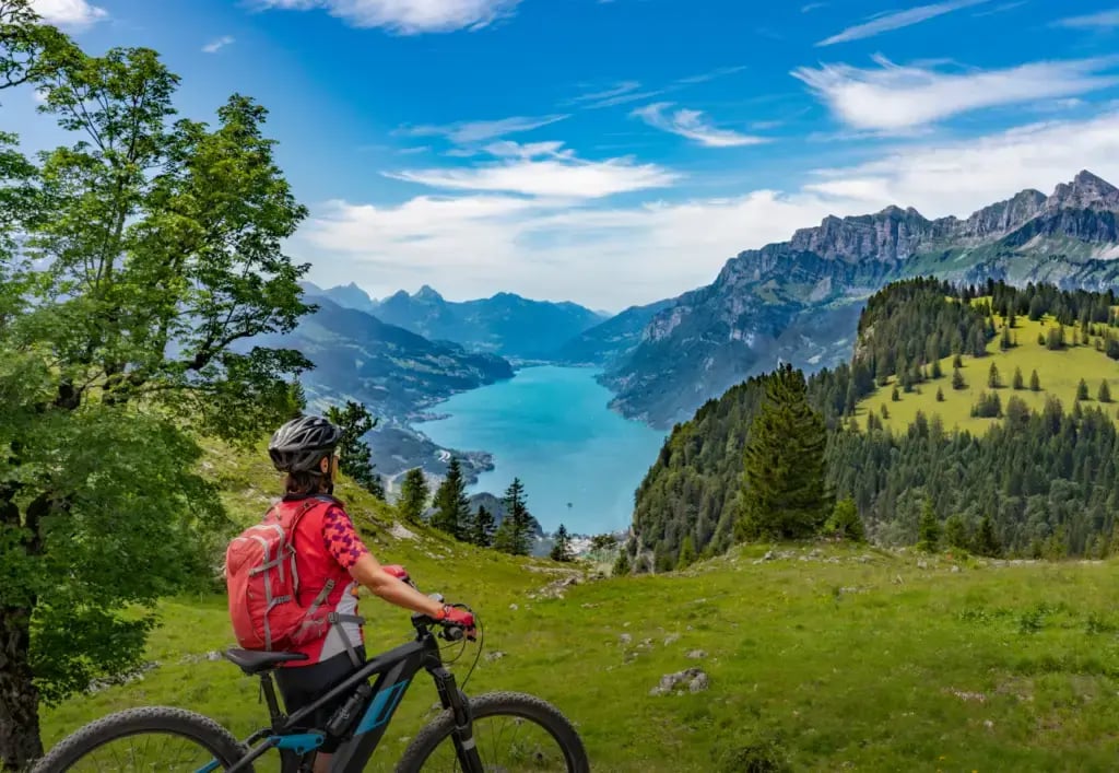 CaseStudt_Images_VBT-smaller