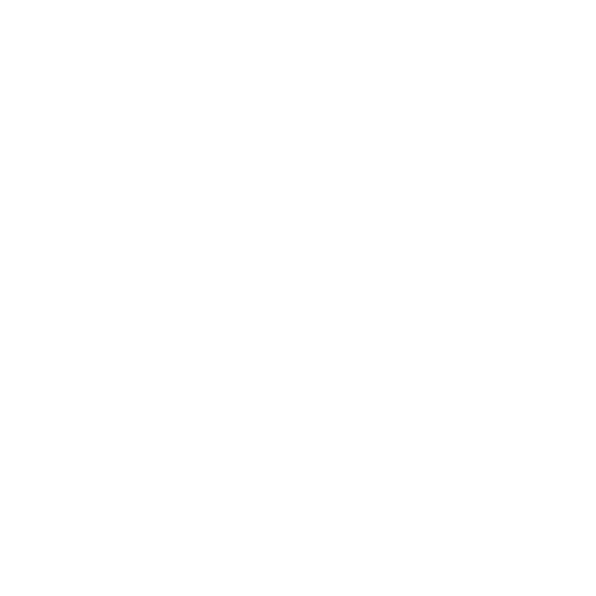Envision Logo - White