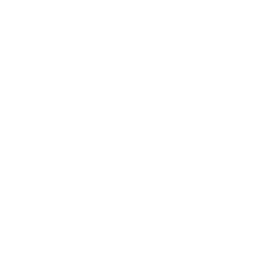 Envision