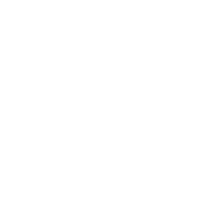 The Parking Spot