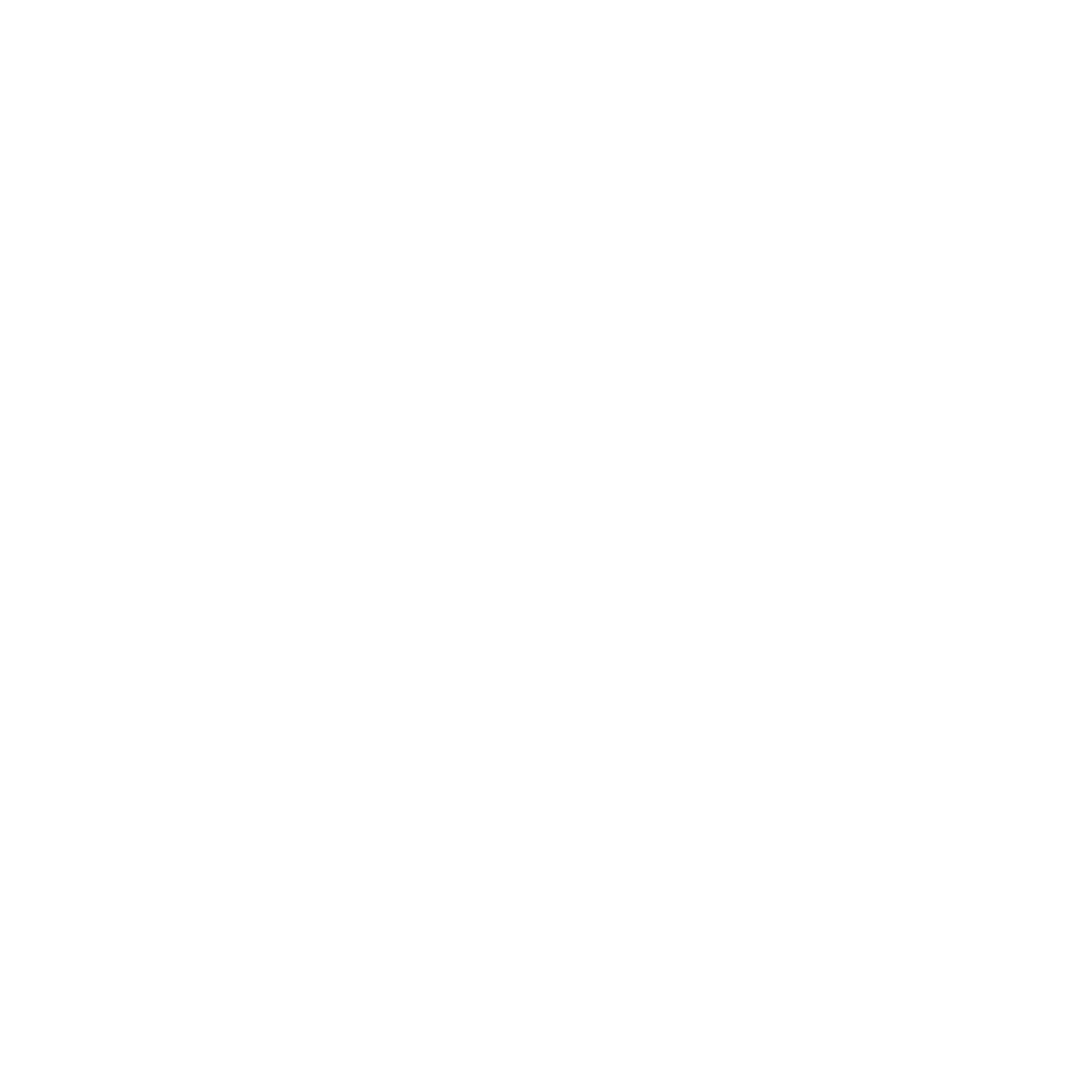 WorldStrides Logo - White