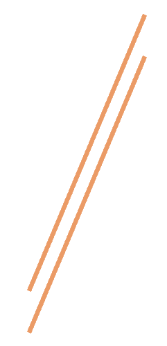 orange slash icon