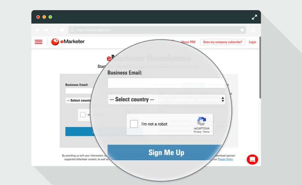 eMarketer screenshot for email capture form 